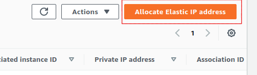 Select "Allocate Elastic IP address."